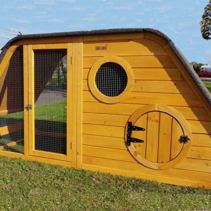 Noah's Ark Chicken Coop